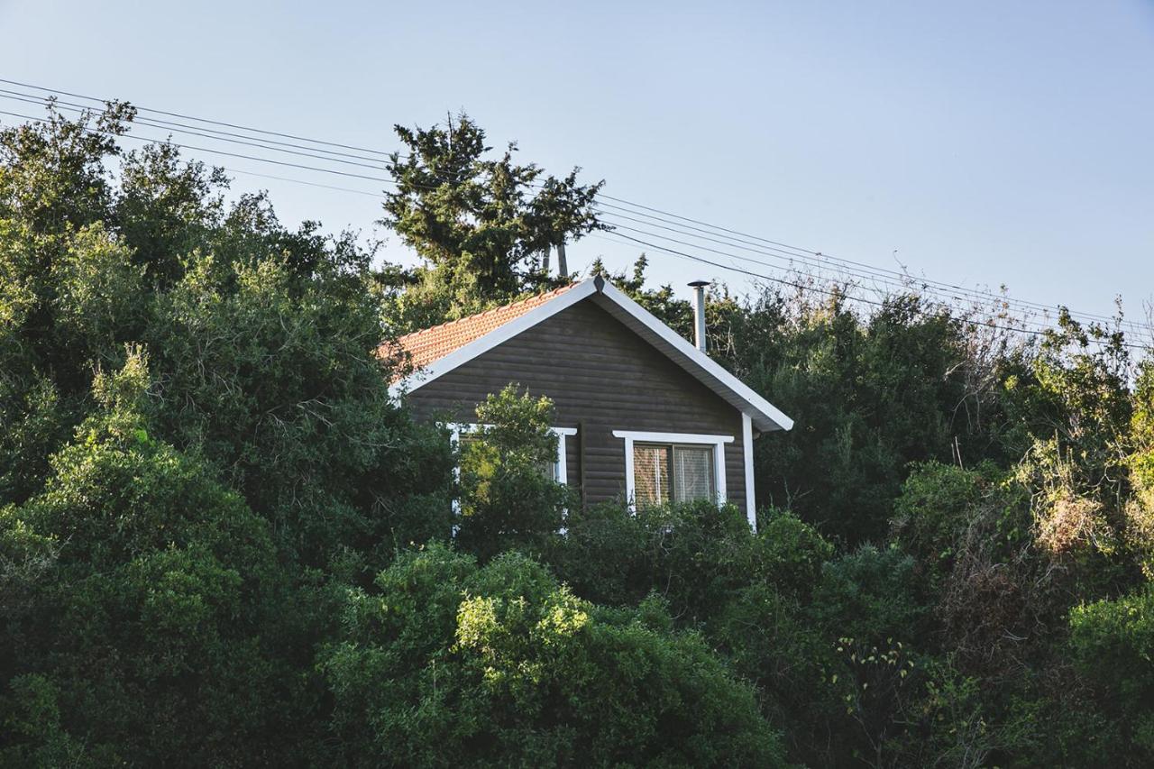 Live In The Woods Villa Mikhmannim ภายนอก รูปภาพ