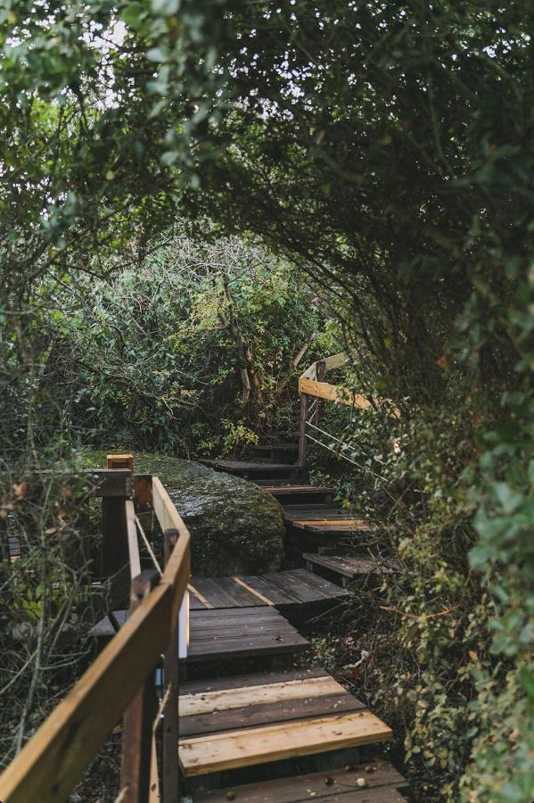 Live In The Woods Villa Mikhmannim ภายนอก รูปภาพ