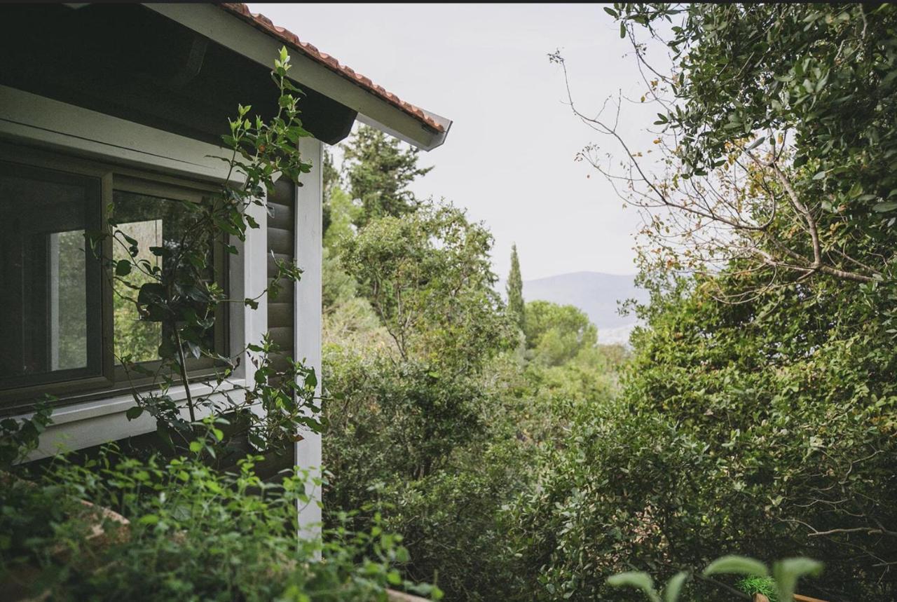 Live In The Woods Villa Mikhmannim ภายนอก รูปภาพ