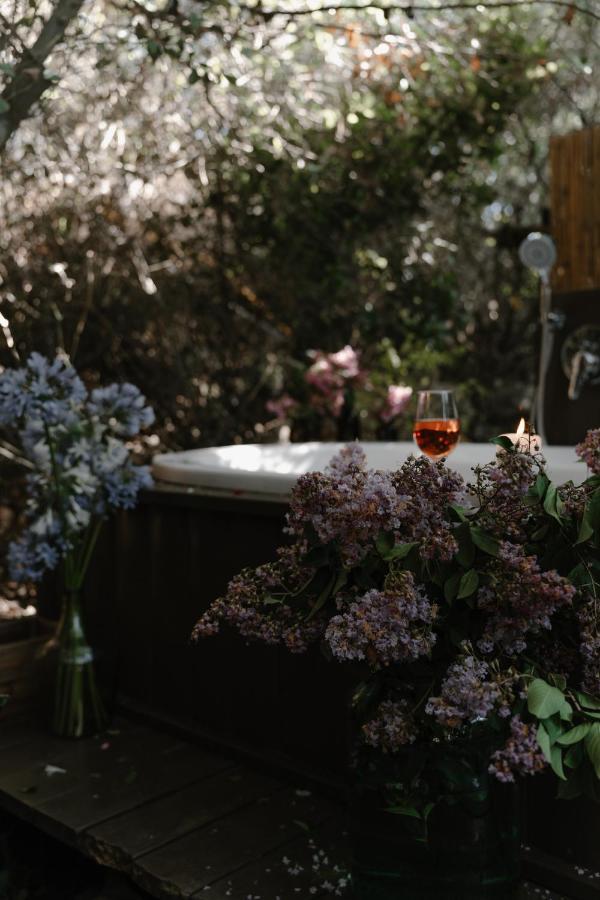Live In The Woods Villa Mikhmannim ภายนอก รูปภาพ