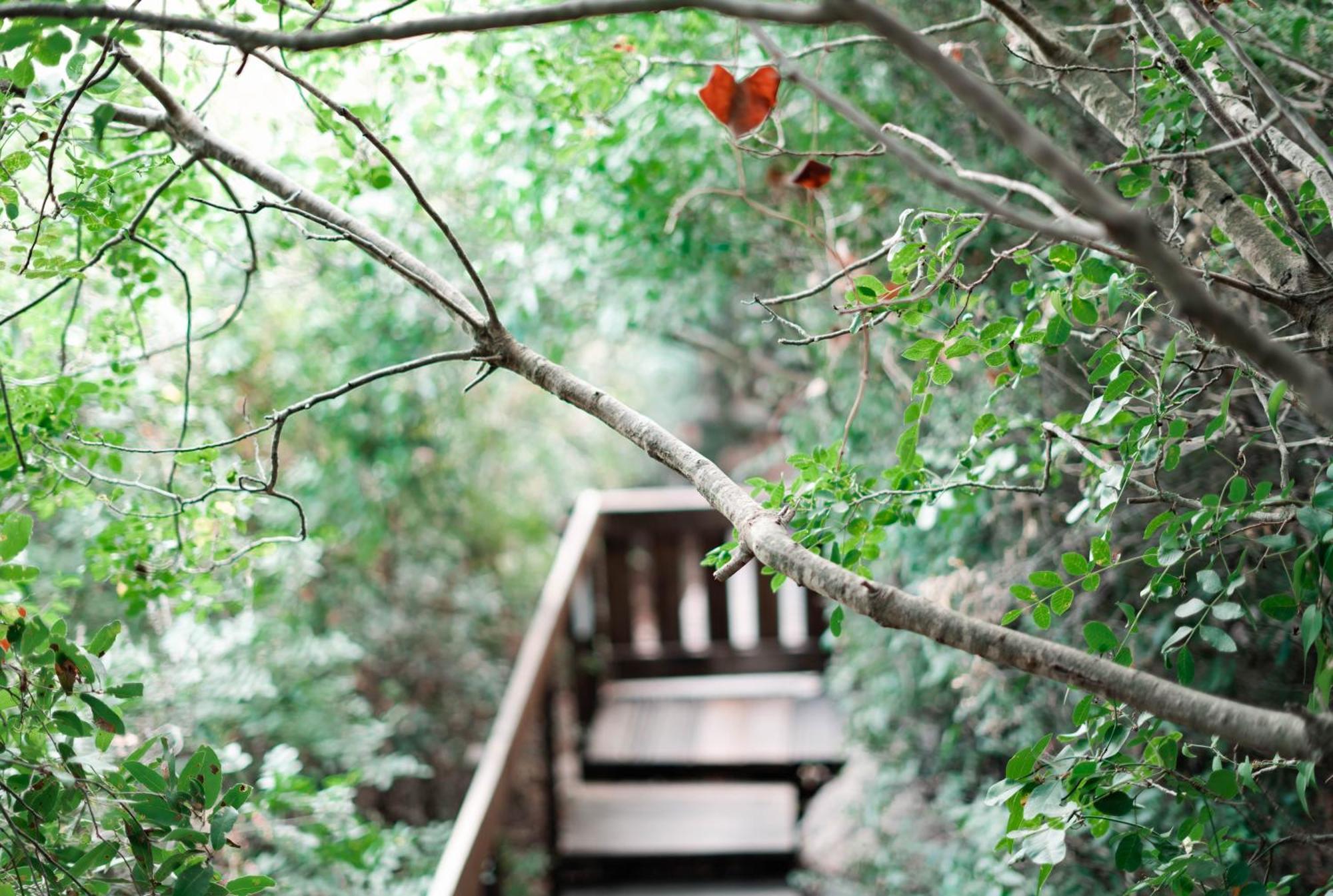 Live In The Woods Villa Mikhmannim ภายนอก รูปภาพ