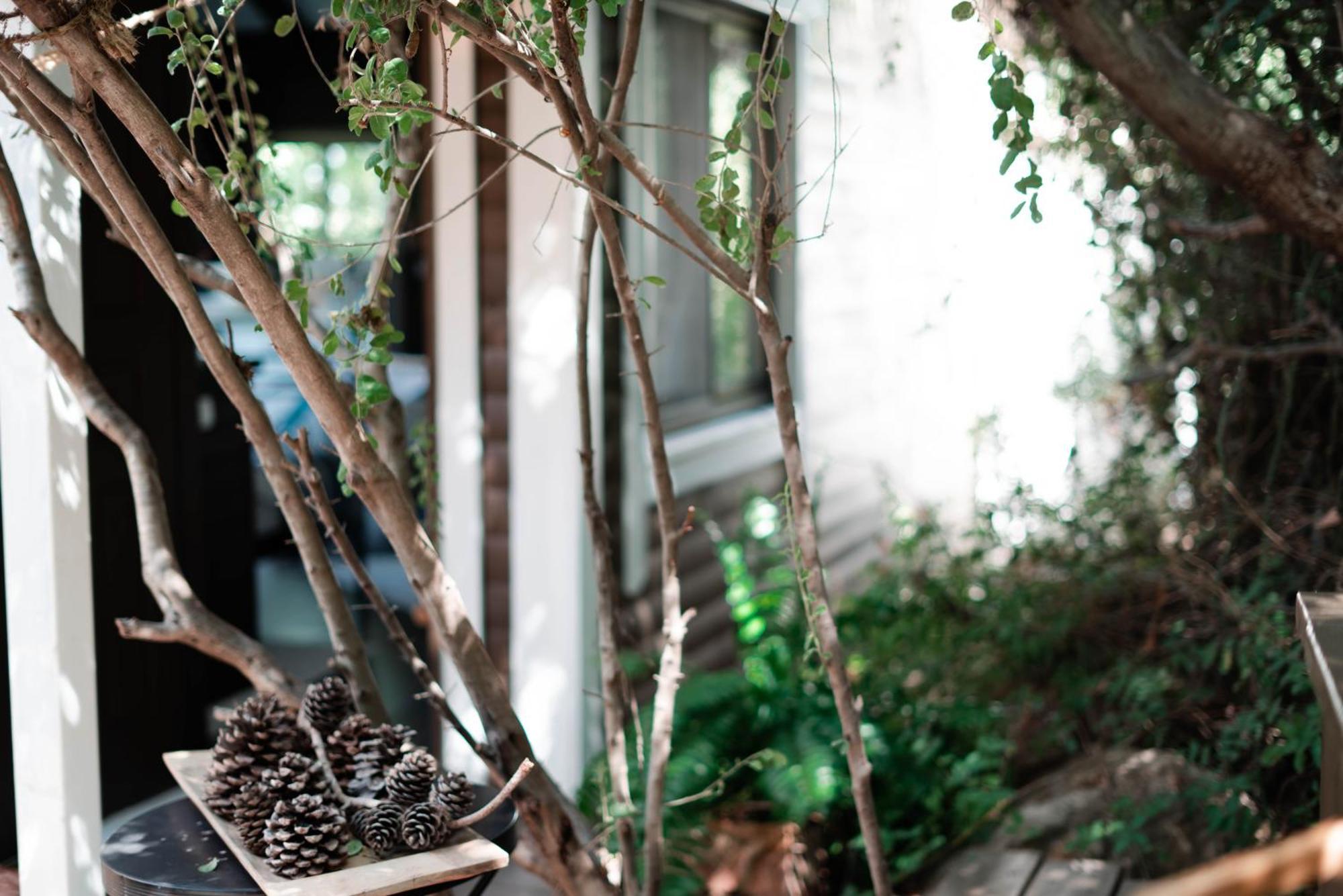 Live In The Woods Villa Mikhmannim ภายนอก รูปภาพ