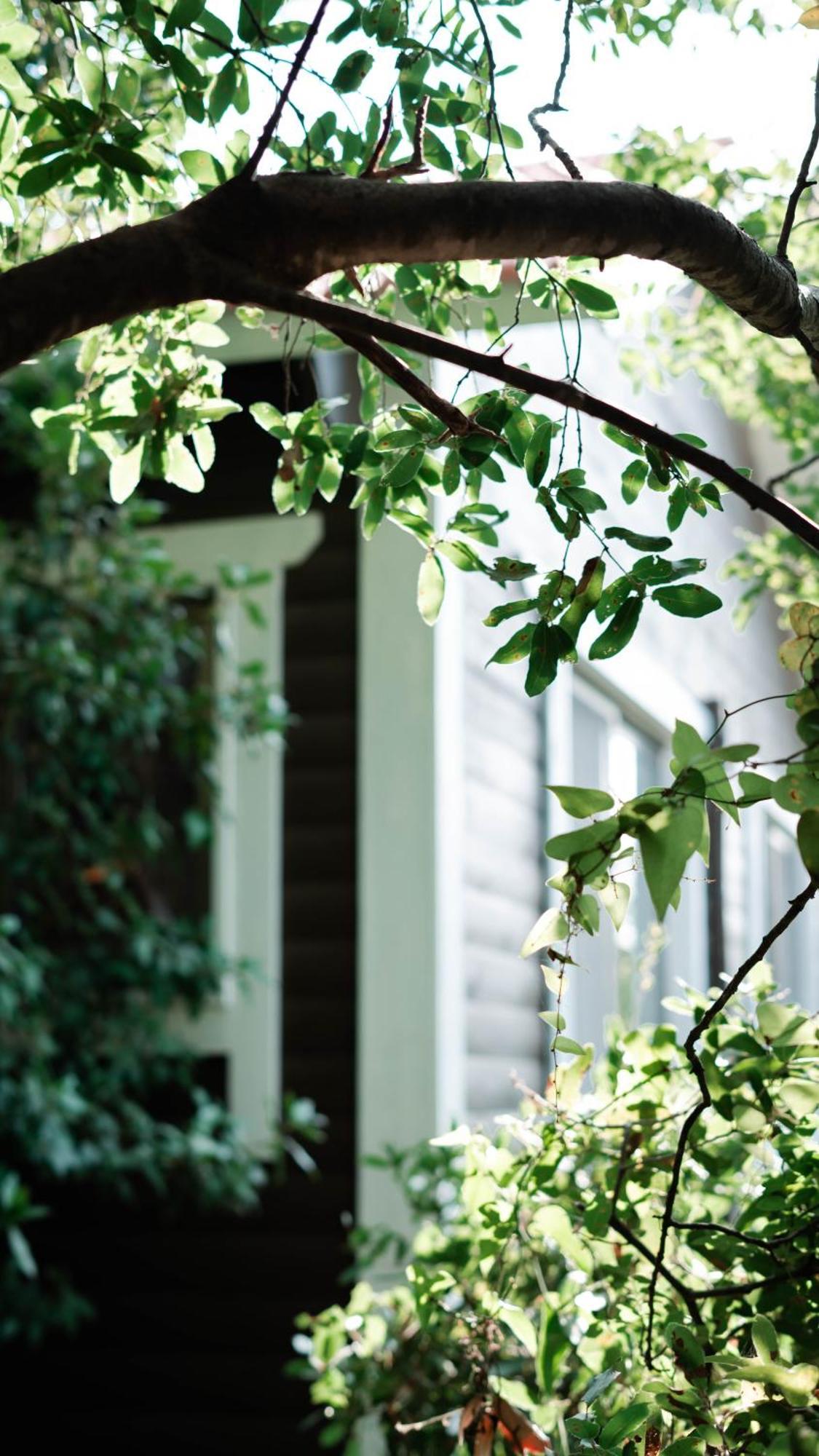 Live In The Woods Villa Mikhmannim ภายนอก รูปภาพ