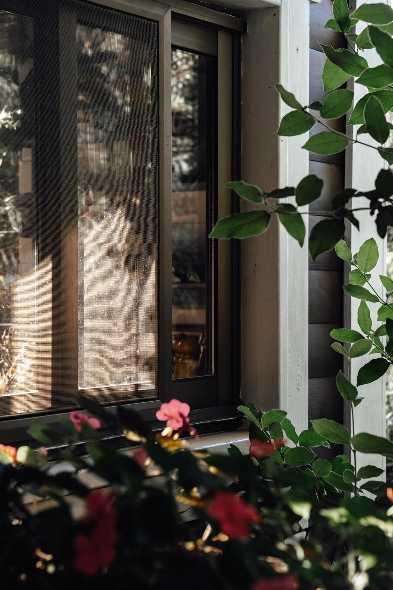 Live In The Woods Villa Mikhmannim ภายนอก รูปภาพ